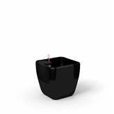 Quadra reprezentacyjna donica w kolorze czarnym z wkładem nawadniającym 22x22x21