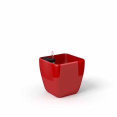 Quadra reprezentacyjna donica w kolorze czerwonym z wkładem nawadniającym 22x22x21