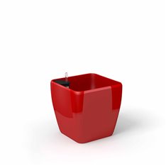 Quadra reprezentacyjna donica w kolorze czerwonym z wkładem nawadniającym 28x28x26