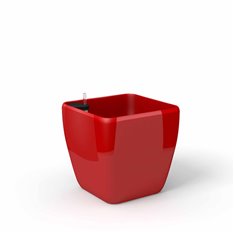 Quadra reprezentacyjna donica w kolorze czerwonym z wkładem nawadniającym 37x37x36