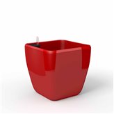 Quadra reprezentacyjna donica w kolorze czerwonym z wkładem nawadniającym 45x45x42