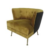 Florence szykowny fotel tapicerowany w musztardowym welurze na złotych nóżkach 71/76/81 cm