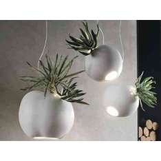 Lampa wisząca Adriani E Rossi Edizioni Erbaria