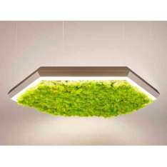 Lampa wisząca Olev Exagon Silence Green