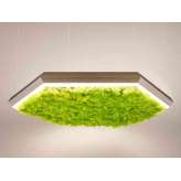 Lampa wisząca Olev Exagon Silence Green