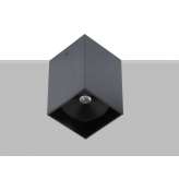 Lampa sufitowa Flexalighting Arik 2