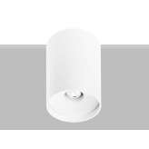 Lampa sufitowa Flexalighting Koine 10