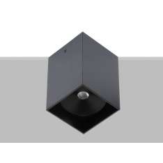 Lampa sufitowa Flexalighting Arik Rgb