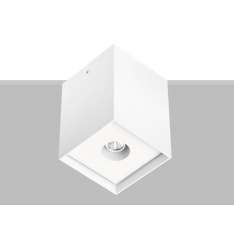 Lampa sufitowa Flexalighting Arik 10