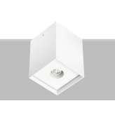 Lampa sufitowa Flexalighting Arik 10