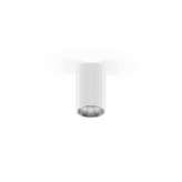 Lampa sufitowa Indelague / Roxo Lighting Batu