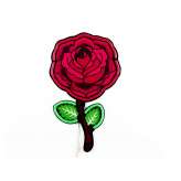 Lampa ścienna Seletti Led Signs Rose