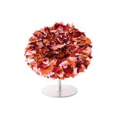 Fotel Moroso Bouquet