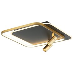 Lampa sufitowa Lucea Zanata 80543-01-CB2-BK