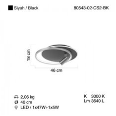 Lampa sufitowa Lucea Zanata 80543-02-CS2-BK