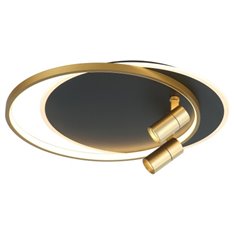 Lampa sufitowa Lucea Zanata 80543-02-CB2-BK