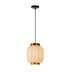 Lampa wisząca Lucide Gosse 13435/01/31