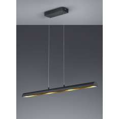 Lampa wisząca Trio Ramiro 376410402