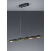 Lampa wisząca Trio Ramiro 376410402