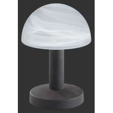 Lampa stołowa Trio Fynn 599000124