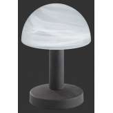 Lampa stołowa Trio Fynn 599000124