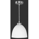 Lampa wisząca RL Dallas R32171007