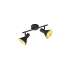 Lampa sufitowa RL Nina R80162002