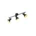 Lampa sufitowa RL Nina R80163002