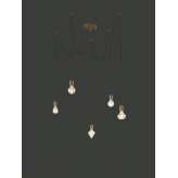 Lampa wisząca Trio Cord 310100562