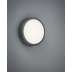 Lampa ścienna Trio Breg 227260142