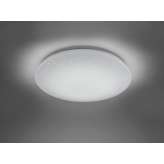 Lampa sufitowa Trio Charly 656010100