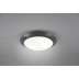 Lampa sufitowa RL Camaro R60502042