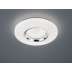 Lampa sufitowa RL Magnolia R62720101