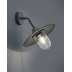 Lampa ścienna Trio Brenta 201760142