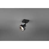 Lampa sufitowa Trio Leon 800700132
