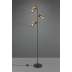 Lampa podłogowa Trio Tosh 404300332