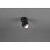 Lampa ścienna Trio Taurus 652910132