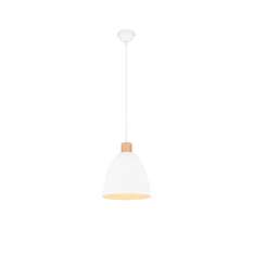 Lampa wisząca RL Jagger R30681031