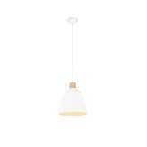 Lampa wisząca RL Jagger R30681031