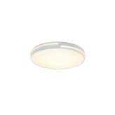 Lampa sufitowa RL Tacoma R62241131