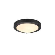 Lampa sufitowa Trio Condus 6801011-32