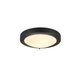 Lampa sufitowa Trio Condus 6801011-32