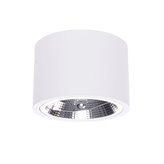 Oprawa natynkowe Light Prestige Camino biała LP-1101/1SM WH