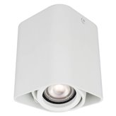 Oprawa natynkowa Light Prestige Merano 1 LP-2790/1SM WH