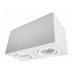 Oprawa natynkowe Light Prestige Lyon 2 biała LP-5881/2SM WH