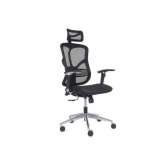 Ergonomiczny fotel biurowy z siatki z podłokietnikami Arrediorg.It® ERGO 500