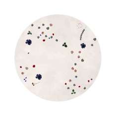 Wzorzysty, ręcznie robiony, okrągły dywanik wełniany Asplund FLEUR