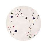 Wzorzysty, ręcznie robiony, okrągły dywanik wełniany Asplund FLEUR