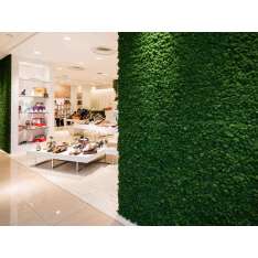 Ściana z mchu Freund Gmbh MOOSGreen FLEXIBLE MOSS