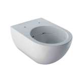 Toaleta wisząca z porcelany Vitreous China Geberit Acanto